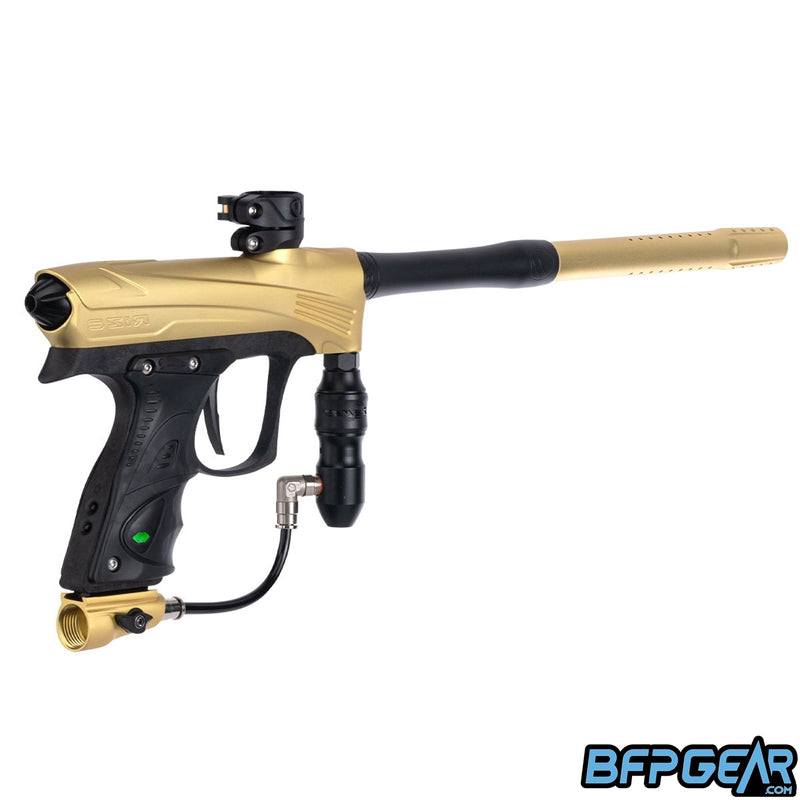 The Dye RIZE CZR in gold and black